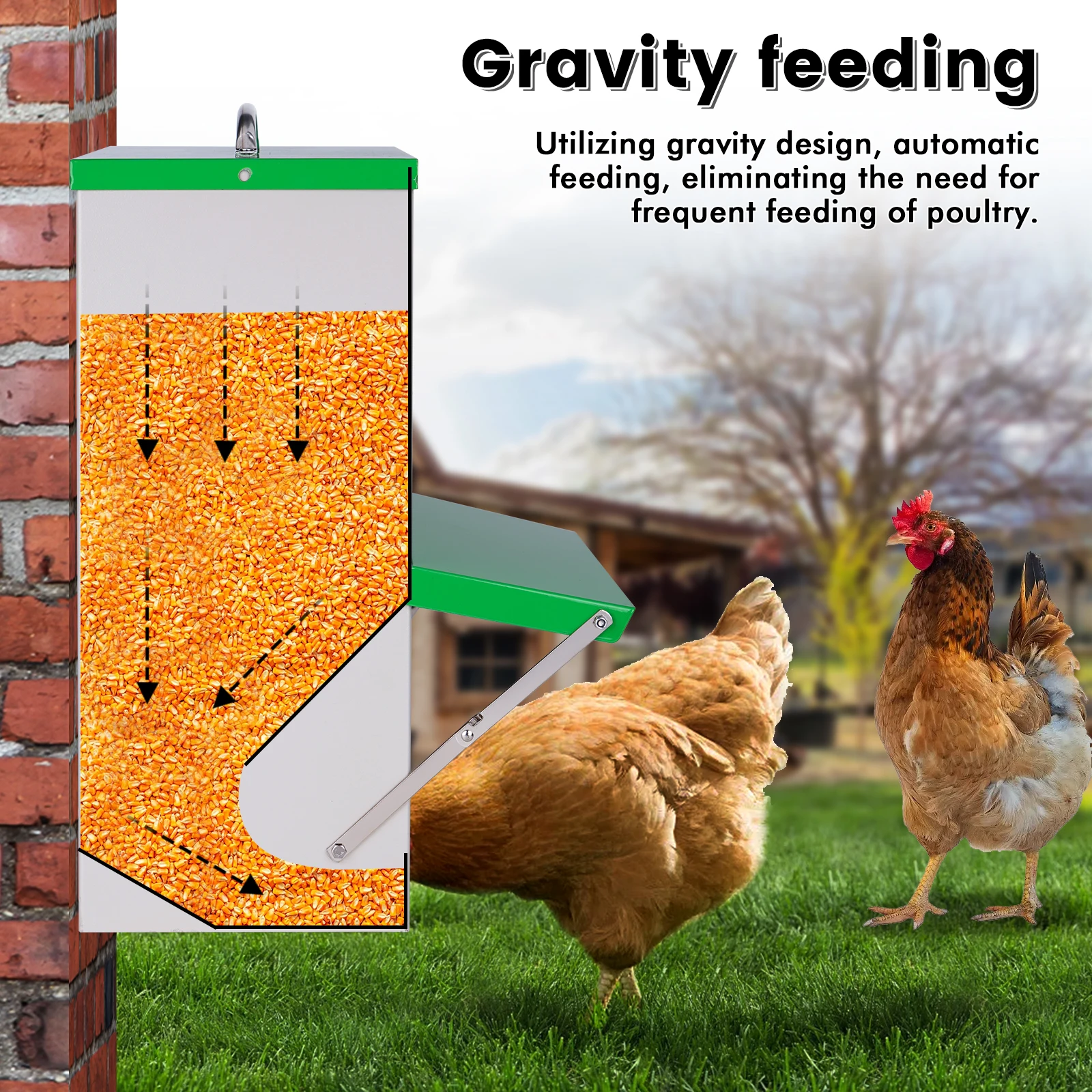 Comedero acero inoxidable para pollos y aves de corral con tapa abatible - imagen 5