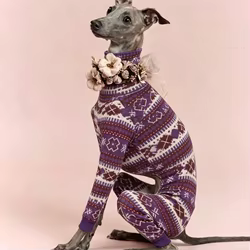 Abrigo forro polar bohemio para perros medianos: galgos y whippets