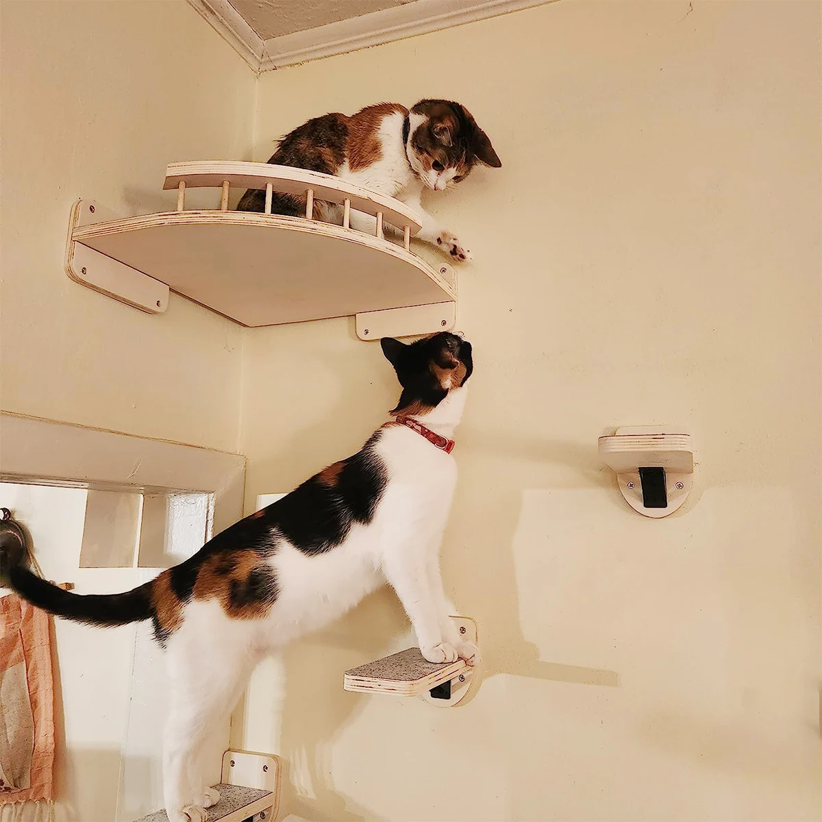 Estantes para gatos instalados en pared