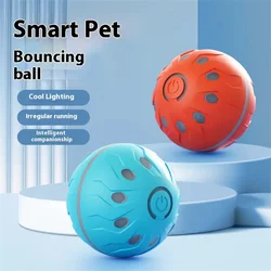 Pelota interactiva automática USB para perros y gatos