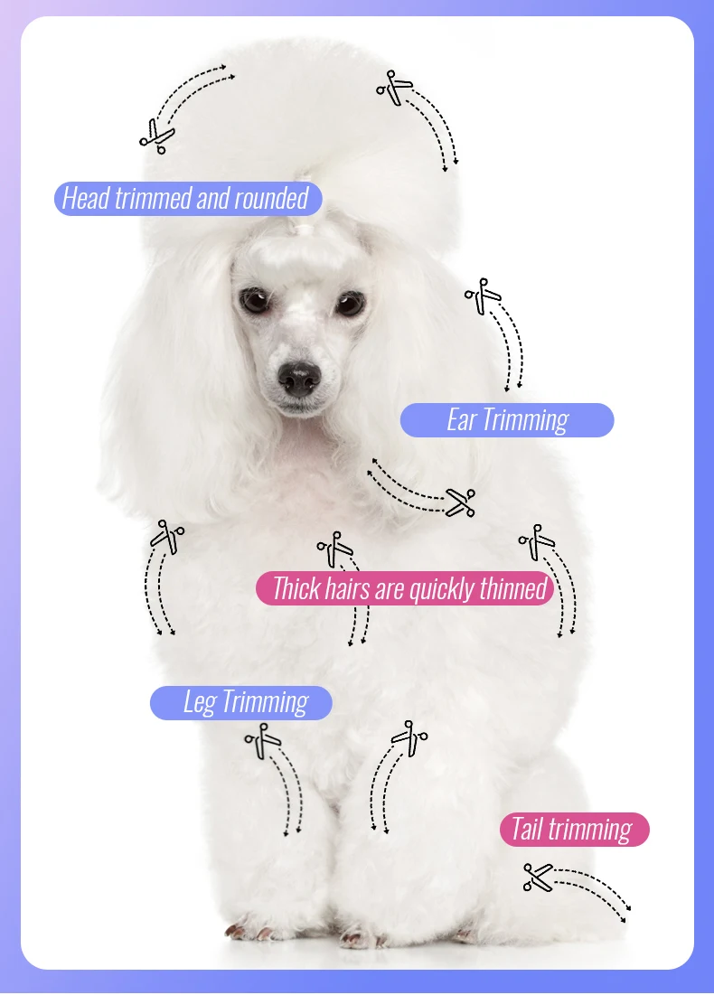 Tijeras curvas y rectas para aseo de mascotas
