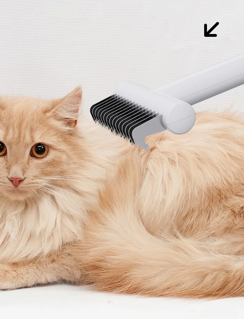 Sesión de grooming en casa