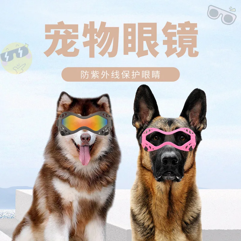 Gafas para perros en uso
