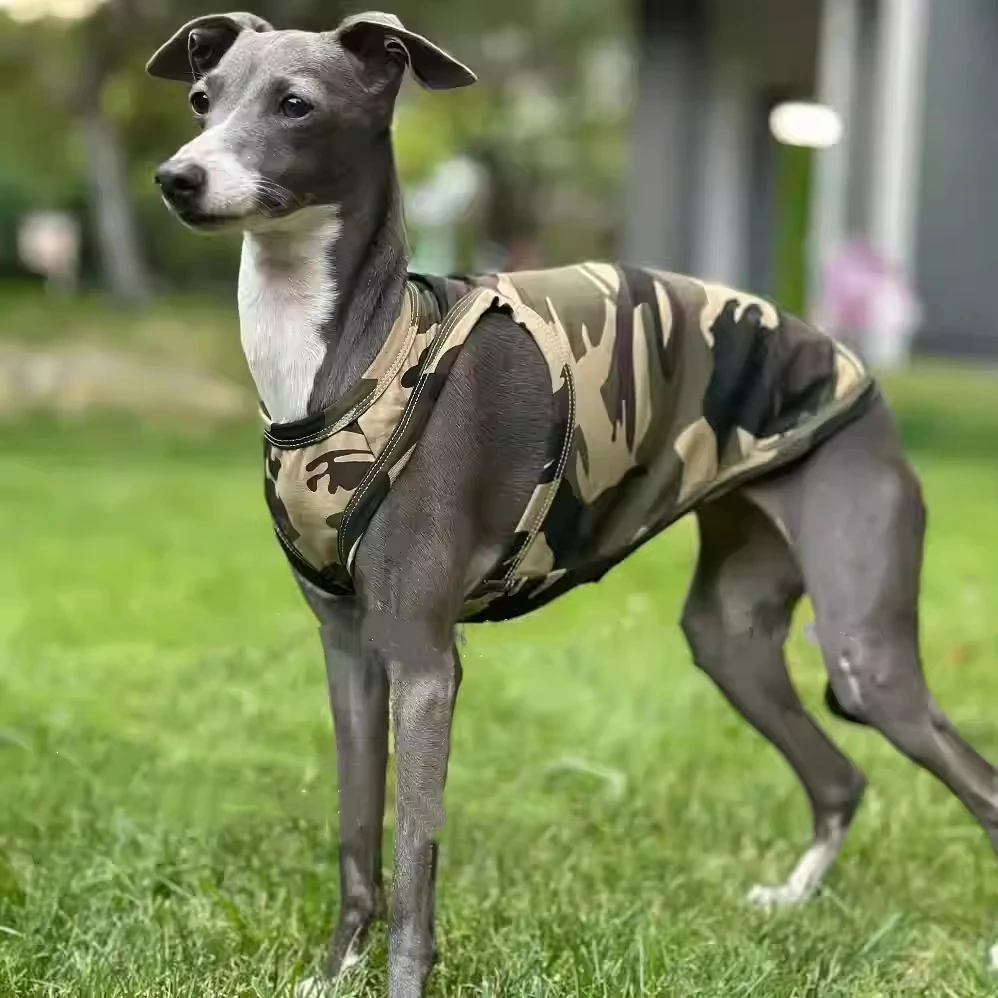Chaleco camouflage perro pequeño