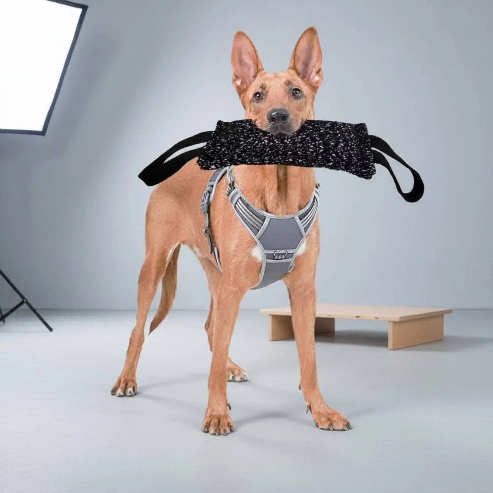 Juguete de arrastre resistente para perros: entrenamiento y juego - imagen 3
