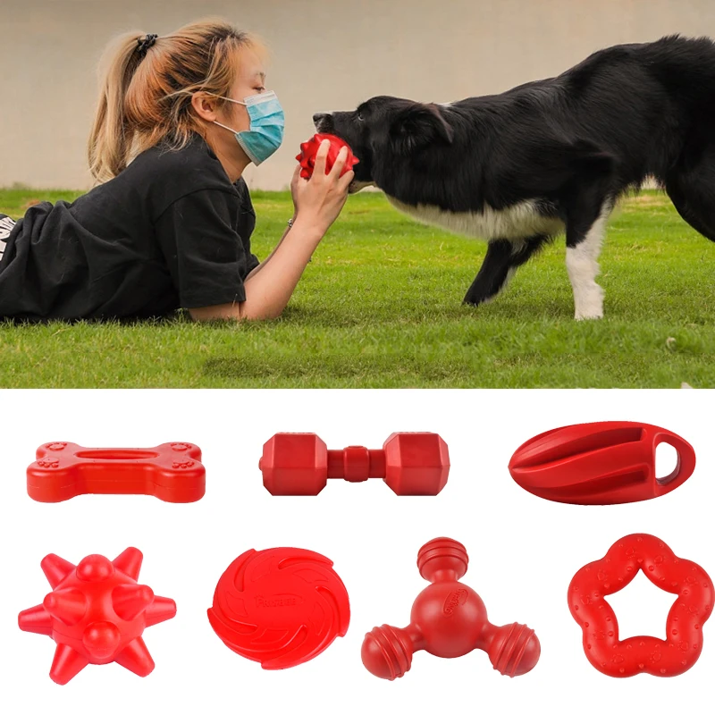 Juguete mordedor en forma de hueso para perros
