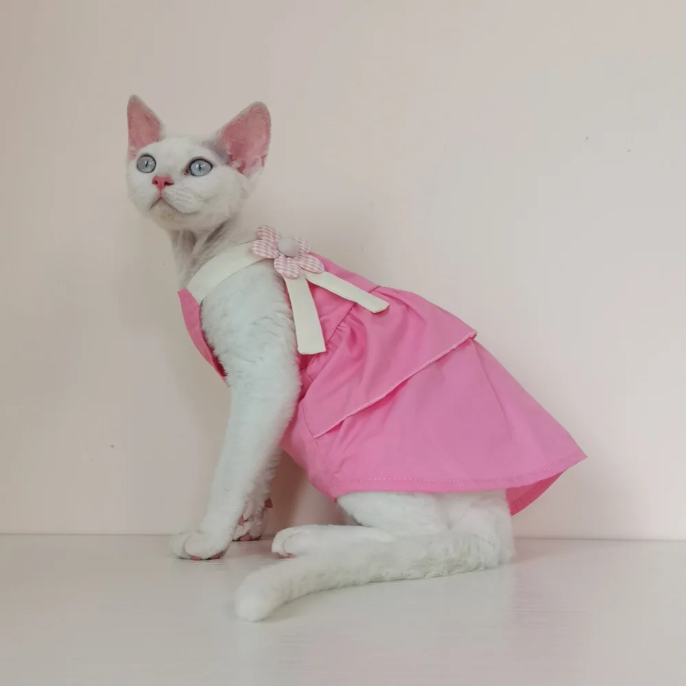 Vestido princesa rústico para gata Devon Rex sin pelo, lazo