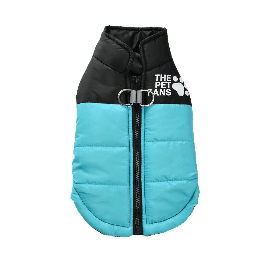 Chaqueta puesta en un Bulldog Francés