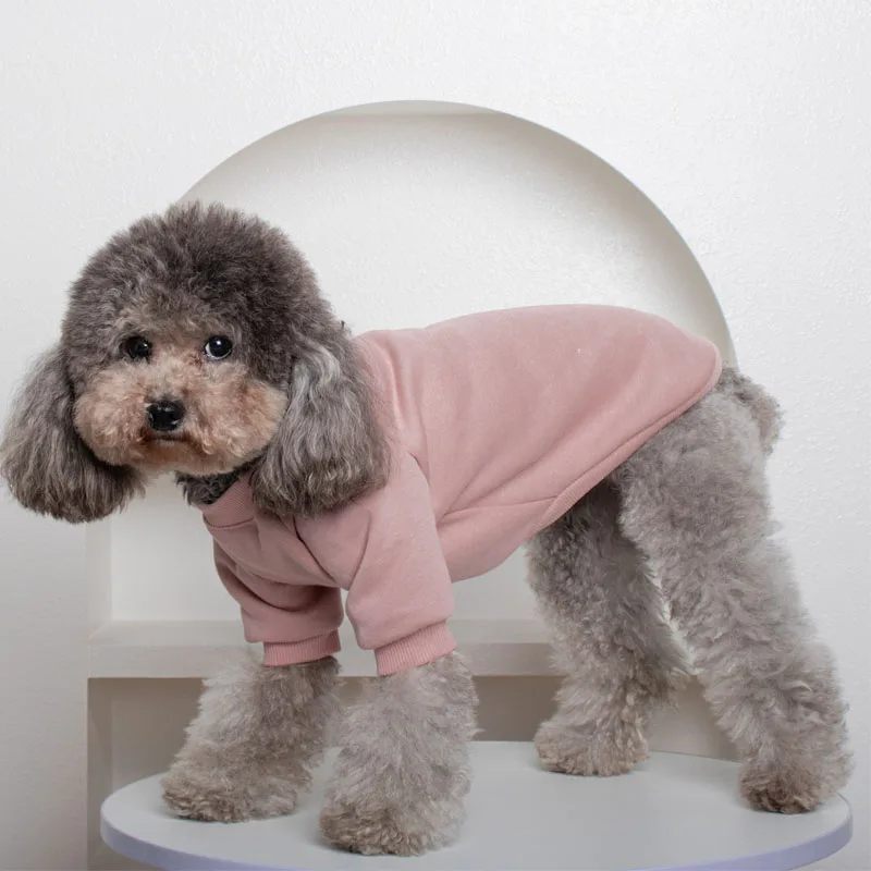 Sudadera con capucha para perros pequeños: Chihuahua y Yorkshire - imagen 4