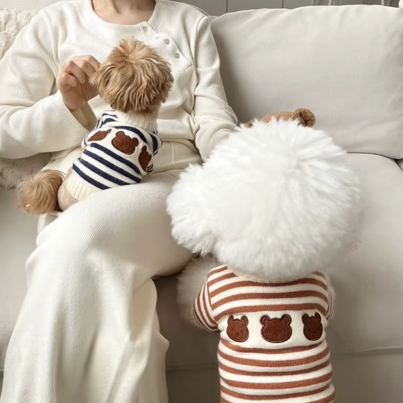 Jersey para Perro Pequeño – Suéter de Oso a Rayas para Chihuahua y Dachshund - imagen 2