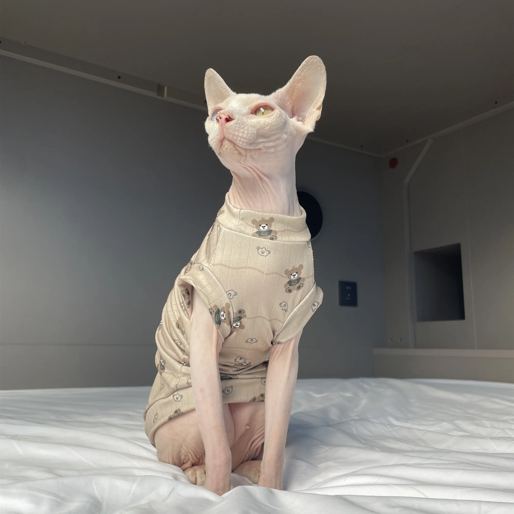 Camiseta transpirable de verano para gatos Sphynx y Devon Rex - imagen 4
