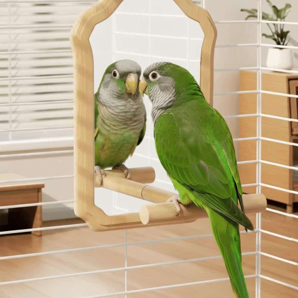 Vogelspiegel Zitstok para periquitos y calopsitas