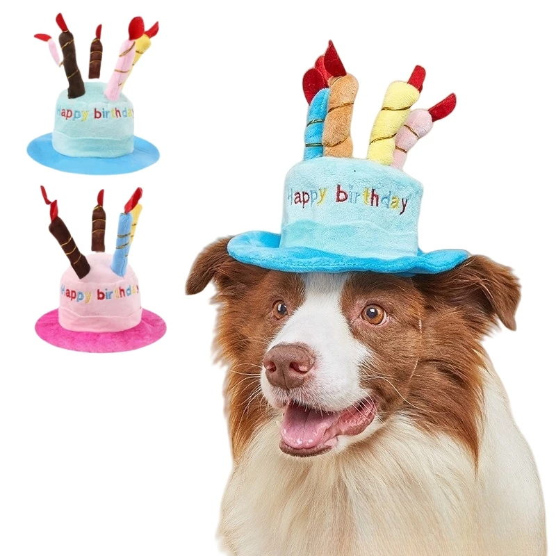 Mascota con sombrero en fiesta