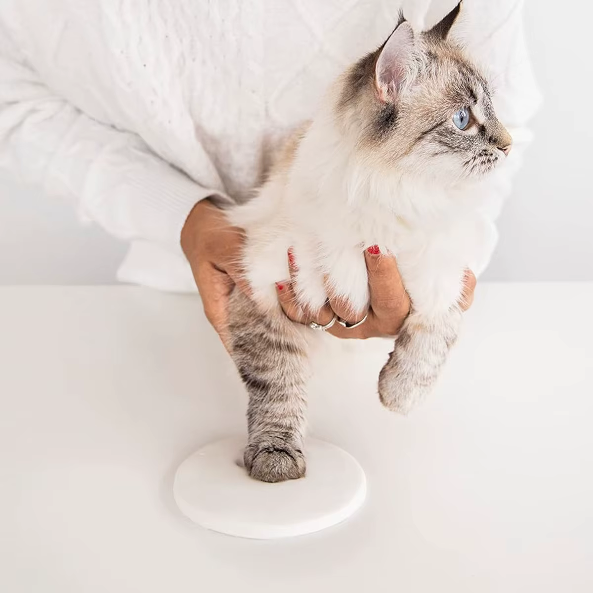 Kit para Huellas de Mascotas en Arcilla – Gatos y Perros - imagen 4