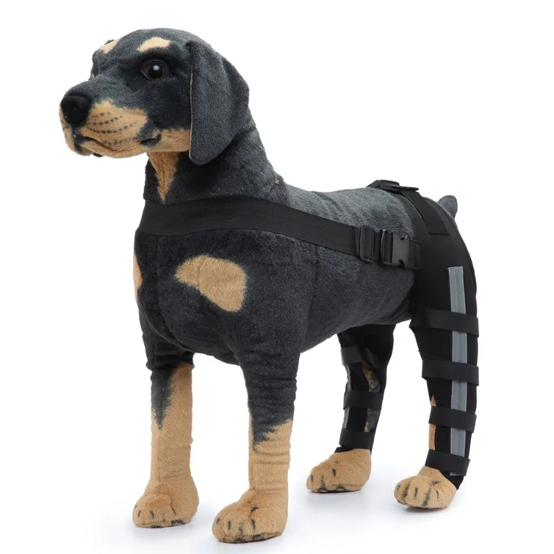 Soporte patas traseras para perros grandes: ayuda al caminar - imagen 5