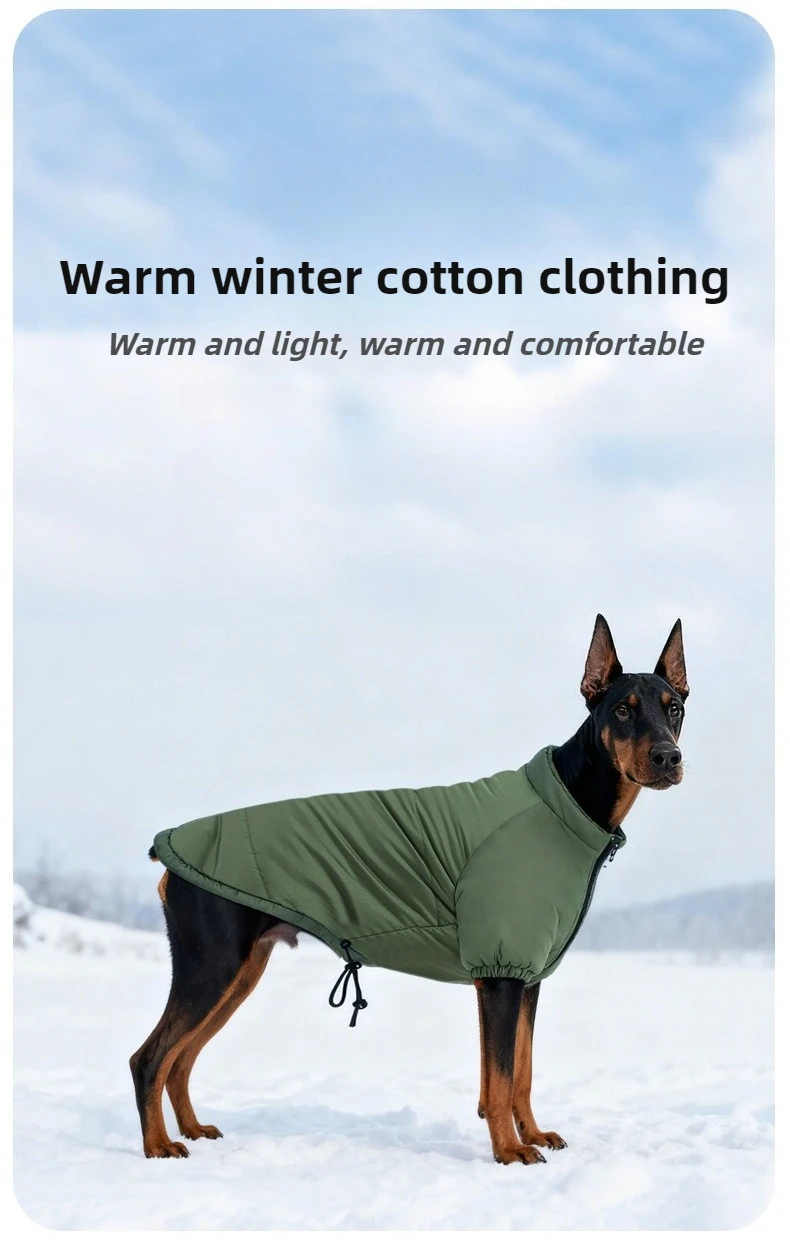 Ropa para perros en color rojo con detalles de cierre