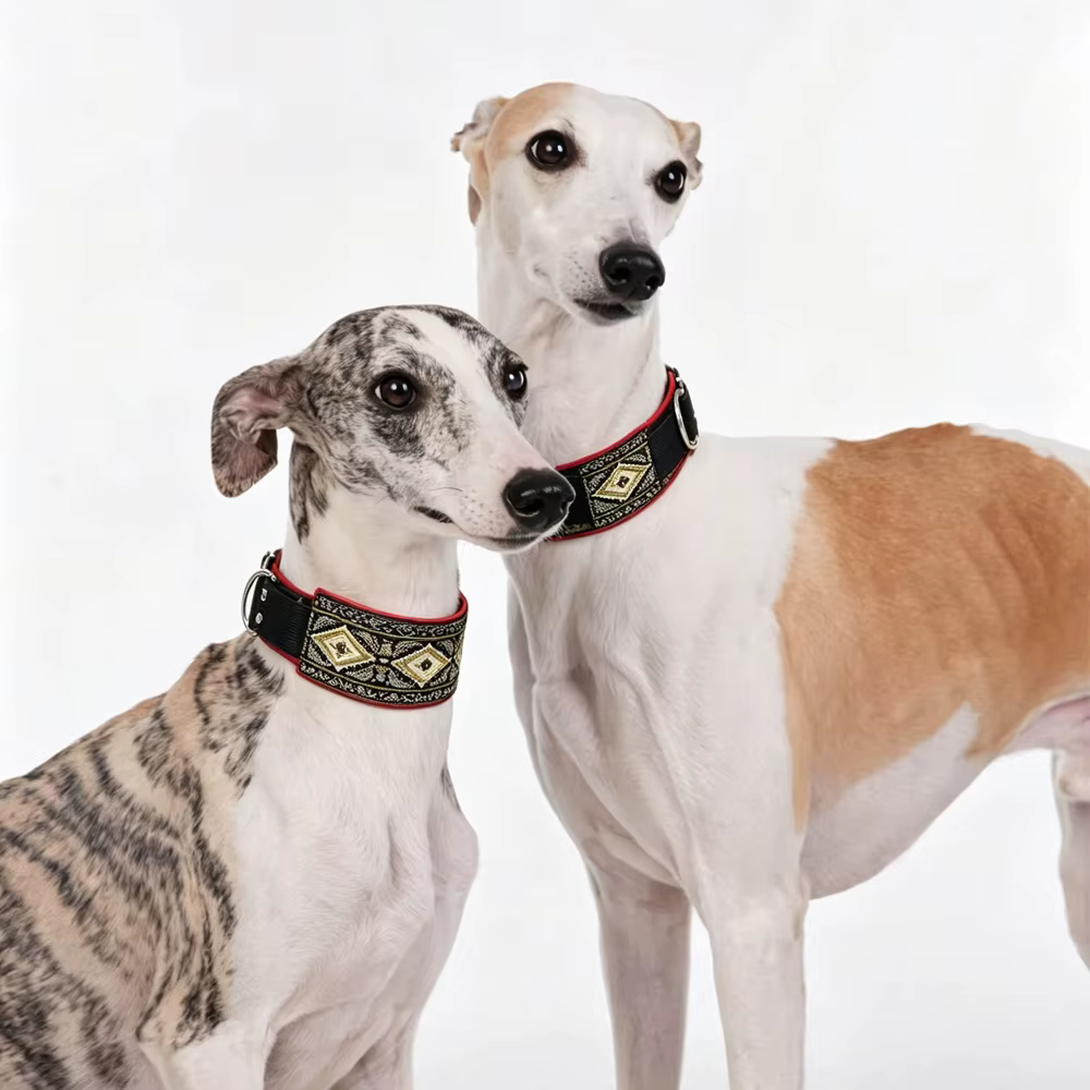 Collar bohemio ajustable para Whippet, diseño étnico robusto - imagen 3