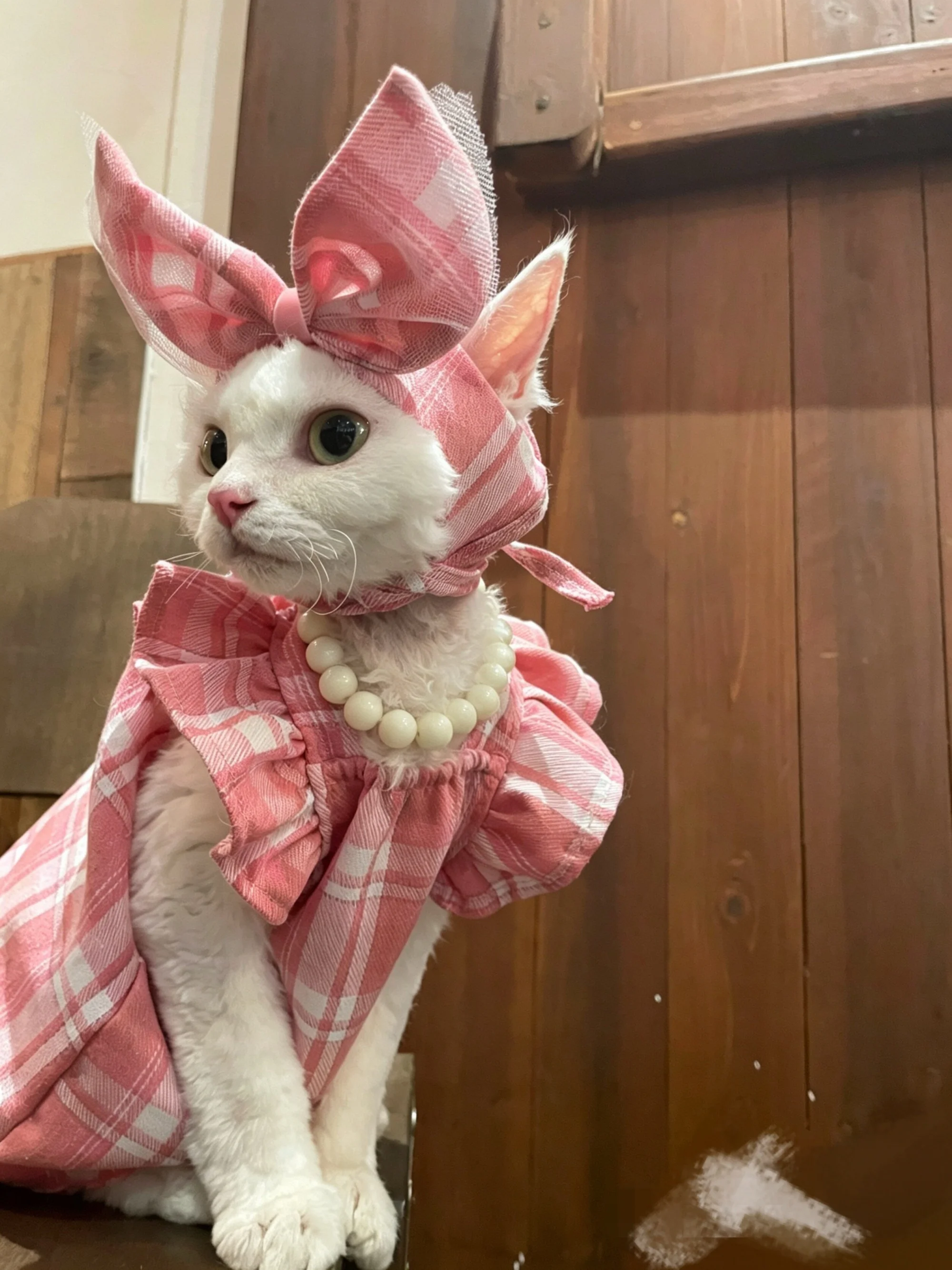 Conjunto completo del traje de princesa para mascotas pequeñas