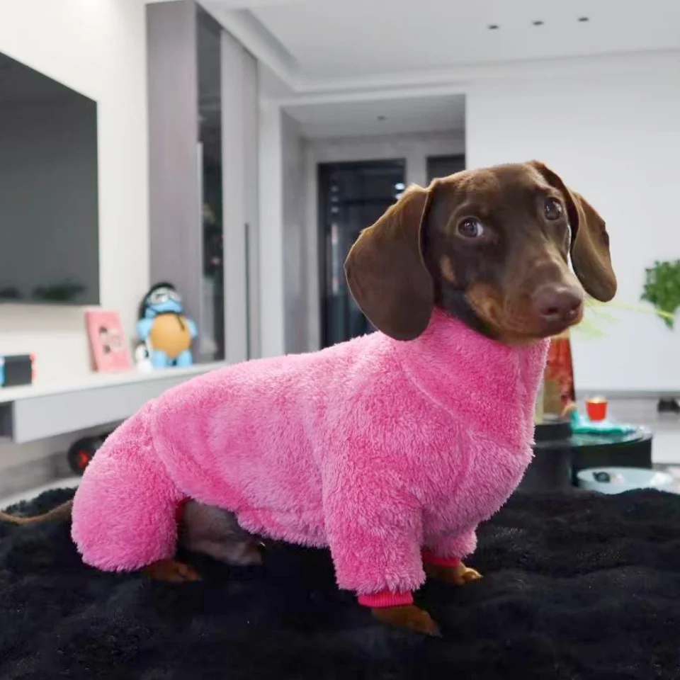 Ropa de invierno perros Dachshund