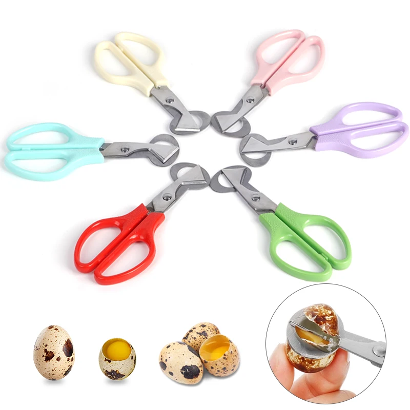 Tijeras para cáscaras de huevos de codorniz de acero inoxidable