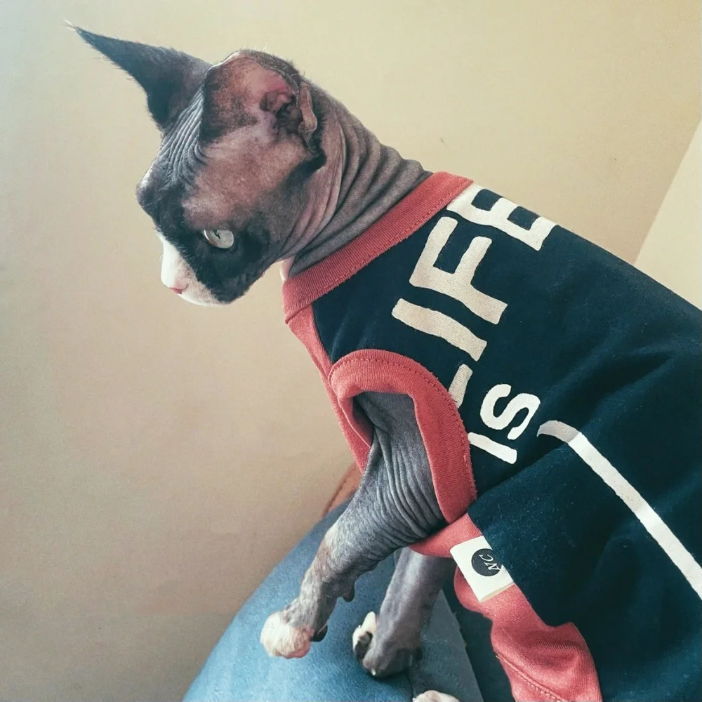 Camiseta de gato roja muestra de tamaño