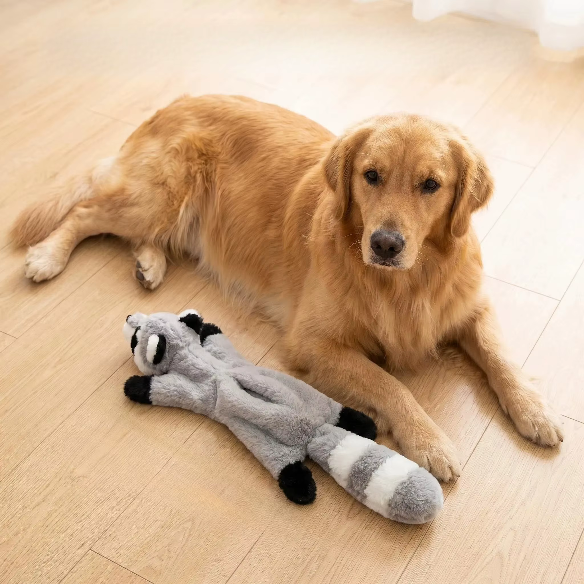 Juguetes de peluche masticables con sonido para perros - imagen 4