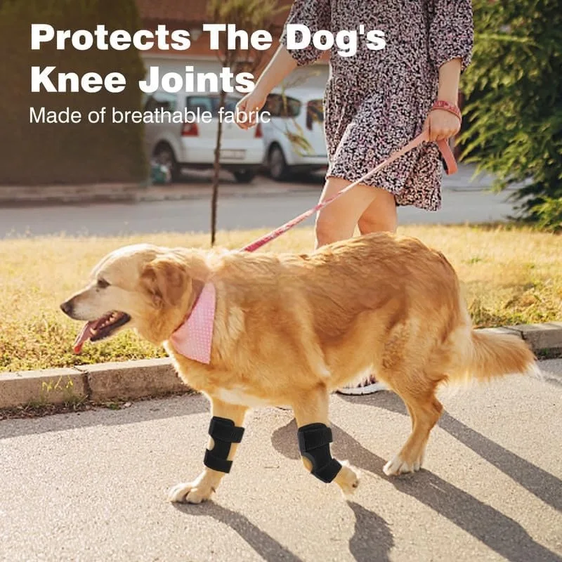 Correas ajustables de velcro del protector