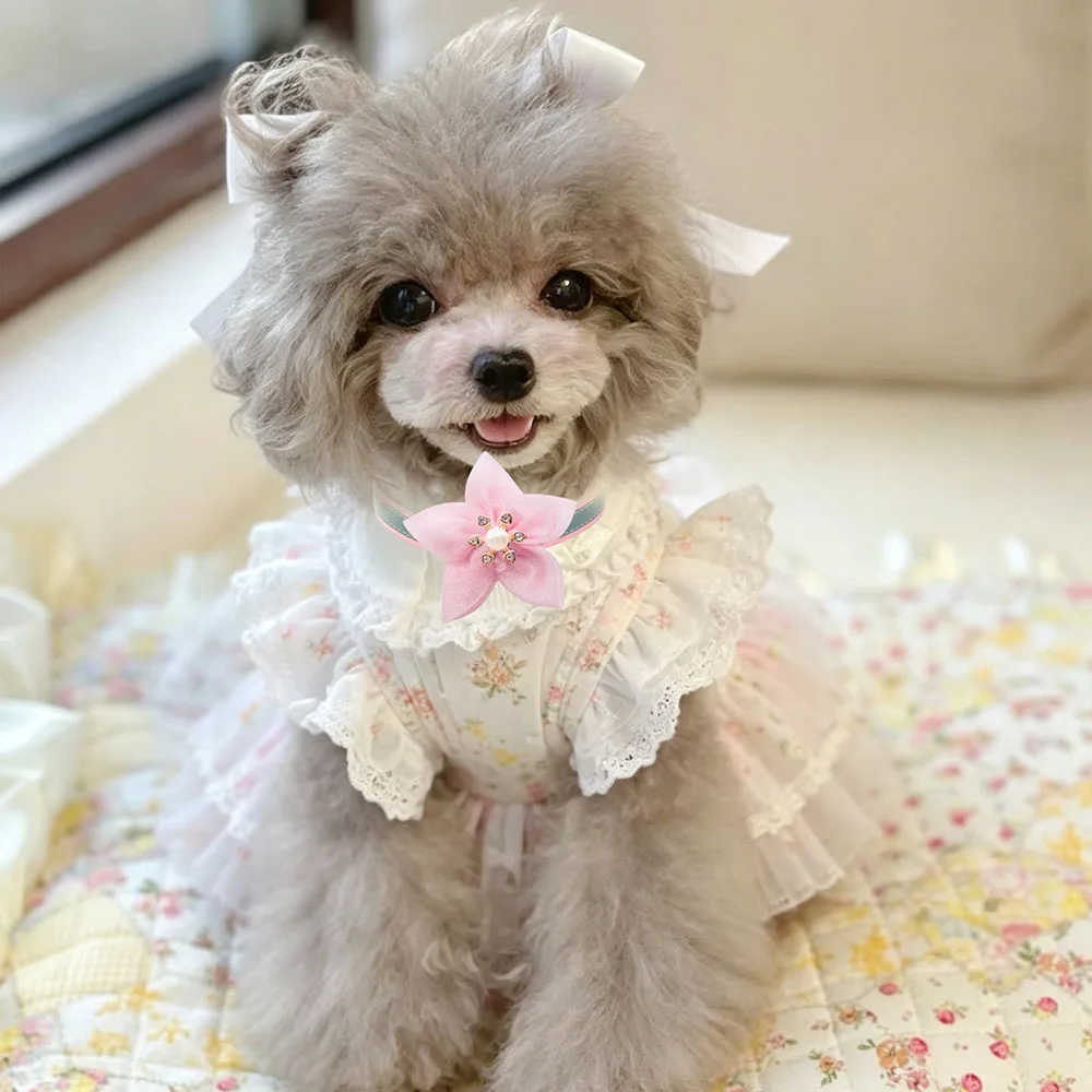 Collar con lazo para perros con flores y diamantes removibles - imagen 3