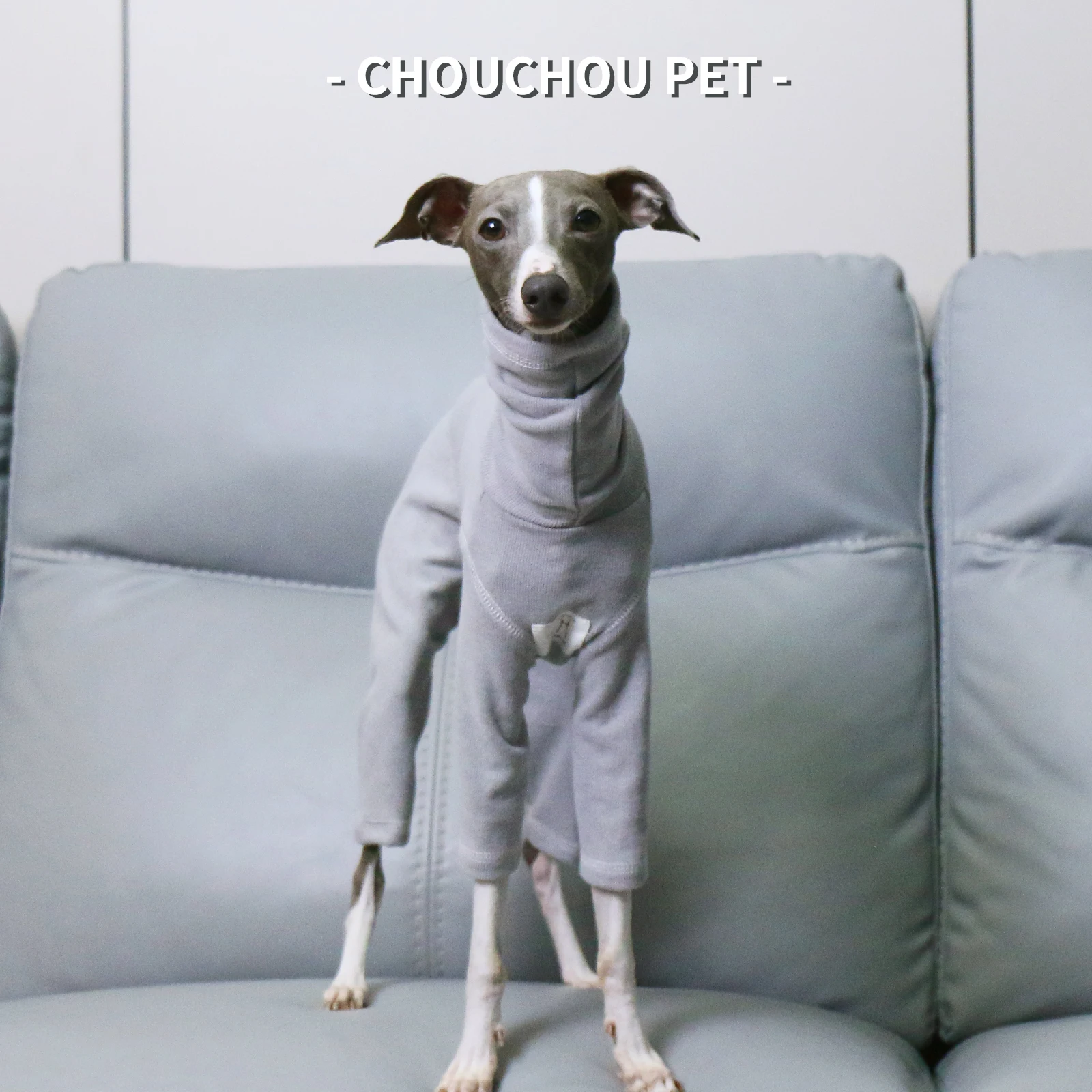 Ajuste cómodo en perro