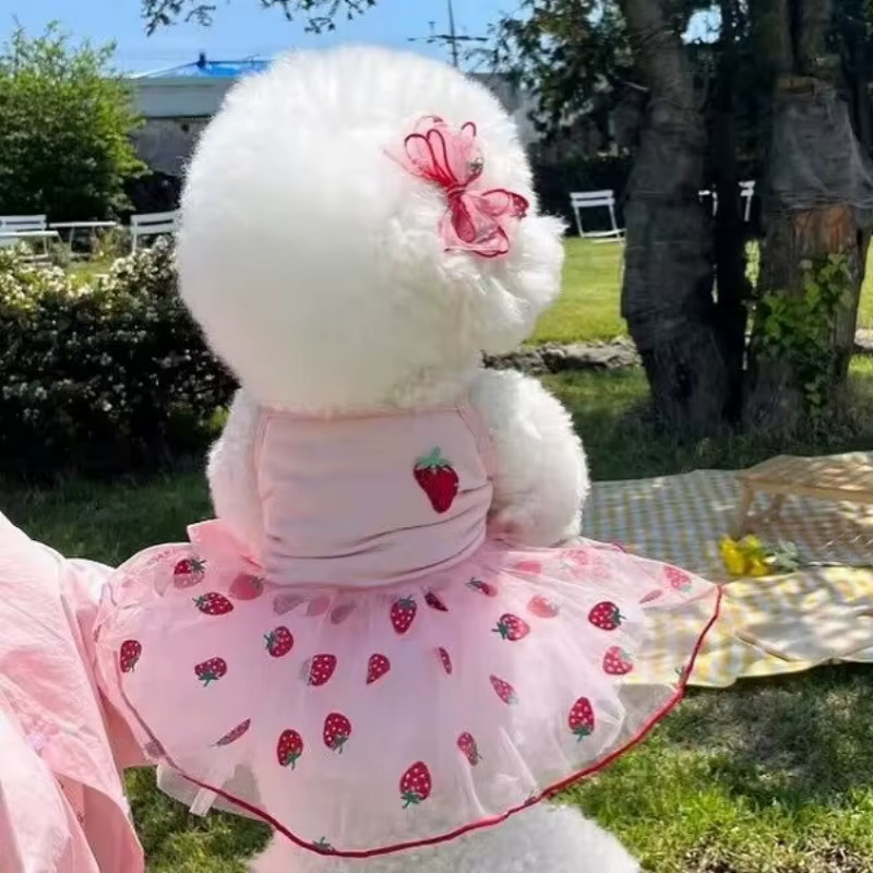 Vestido veraniego de fresa con tul y lazo para perros y gatos - imagen 4
