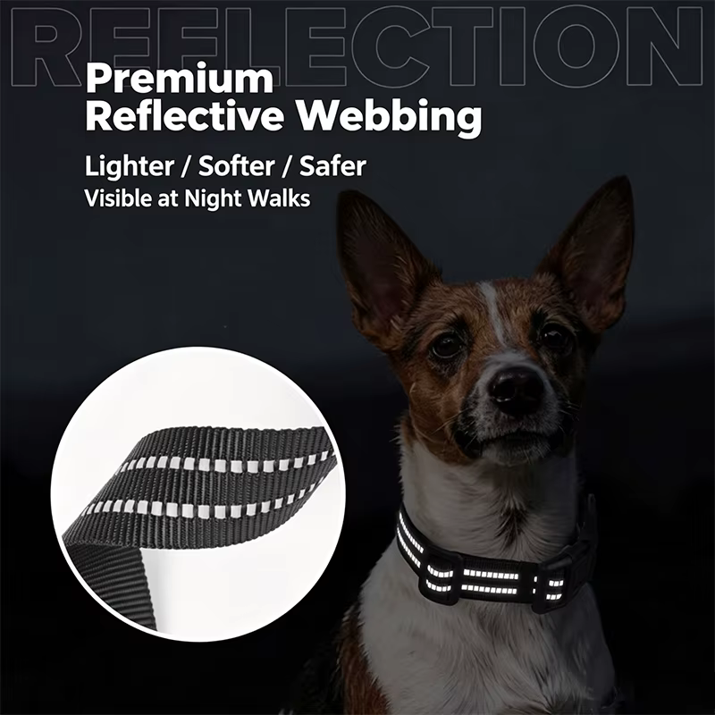 Collar de Perro para AirTag Personalizado, Impermeable, Reflectante y Ajustable - imagen 4