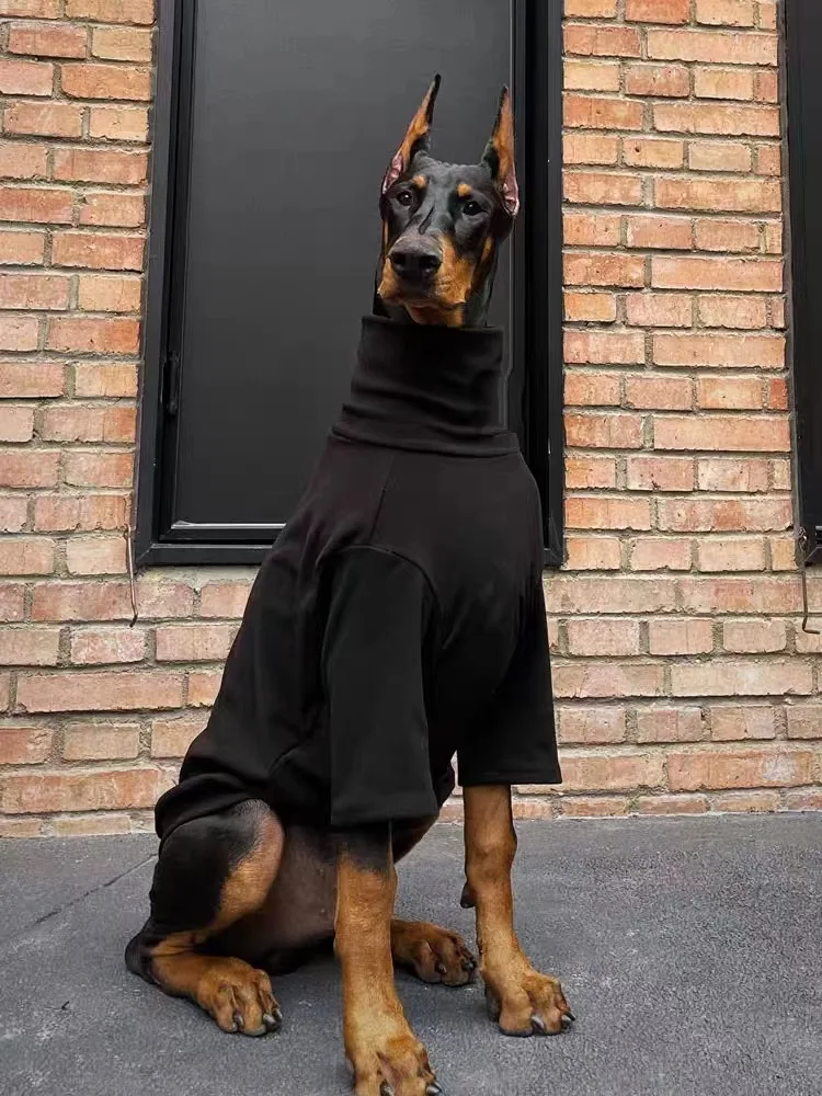 Perro usando camiseta en posición relajada