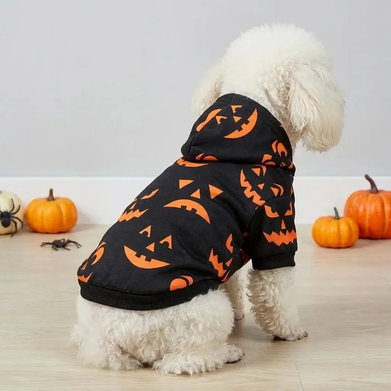 Sudadera Halloween Calabaza para Perros y Gatos - imagen 3