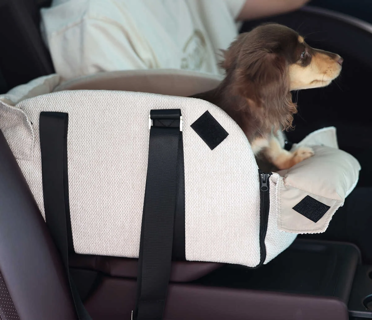 Transportín ABQP como portador de moda