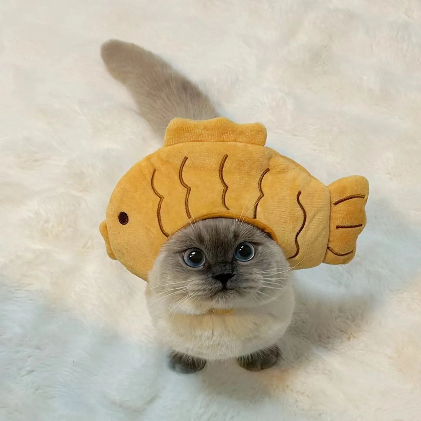 Gorro divertido para gato en evento