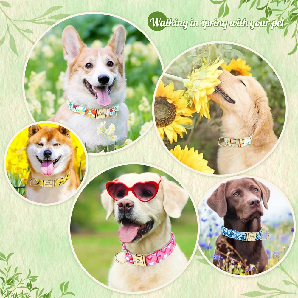 Collar personalizado de nailon con placa para perros y Chihuahua - imagen 5