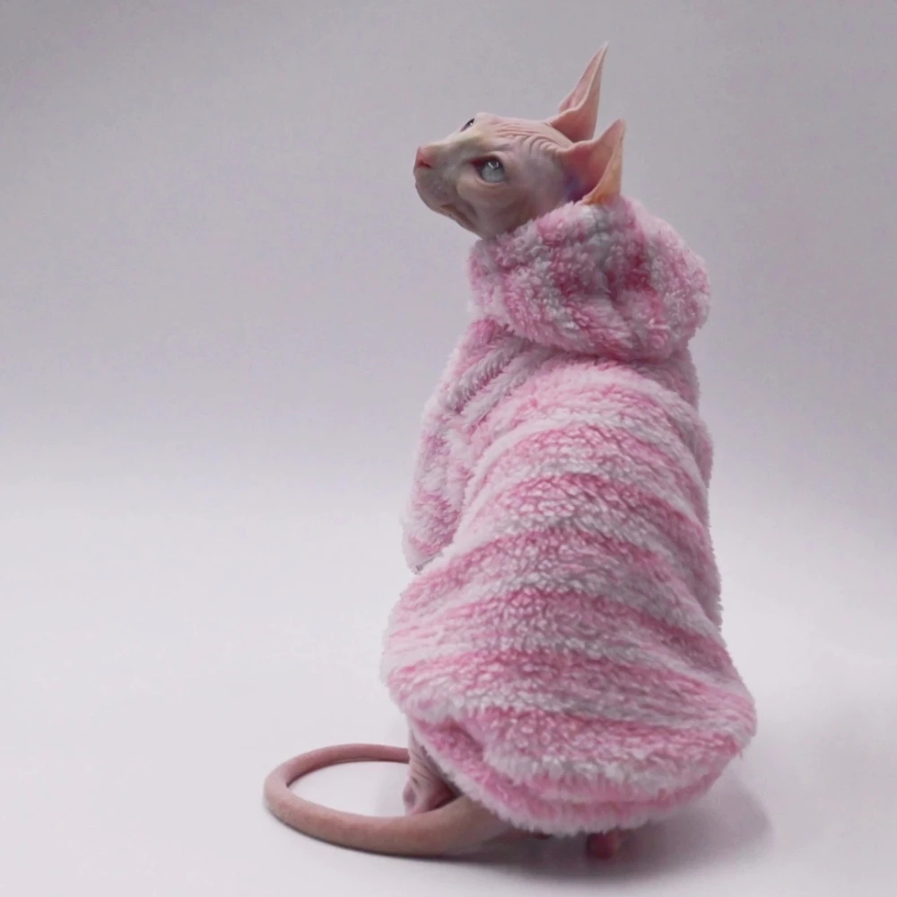 Conjunto de prendas para mascotas