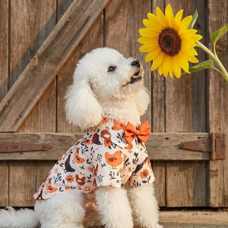 Camisa otoñal con estampado de pollo y pajarita para perros pequeños y gatos
