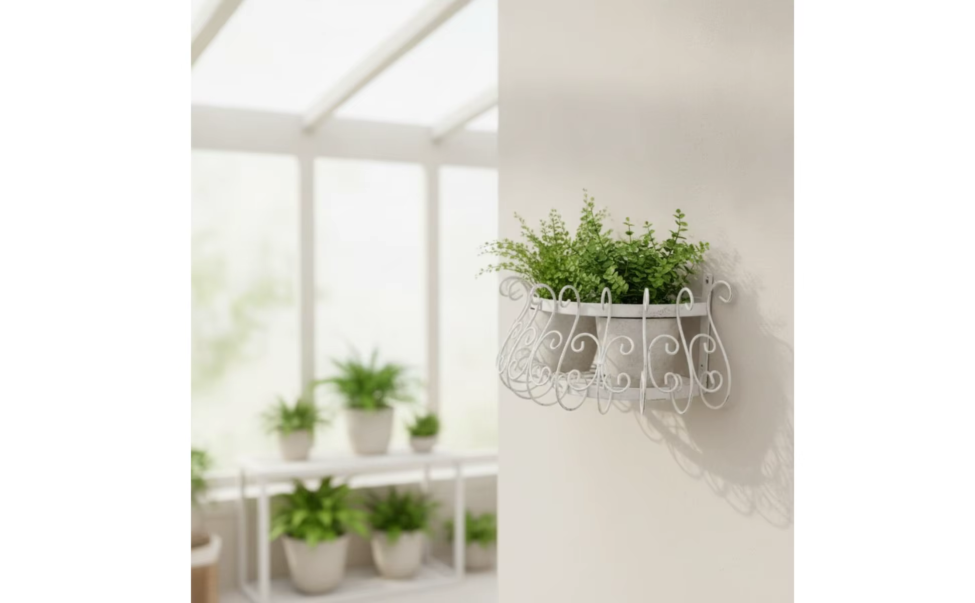 Montaje en pared del estante para plantas