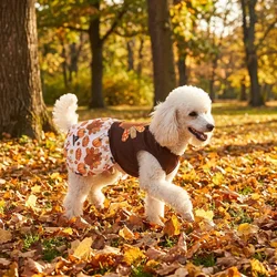 Disfraz de Pavo para Perros y Gatos – Traje Thanksgiving con Sombrero y Tutú
