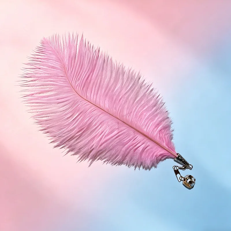 Gato jugando con varita de plumas