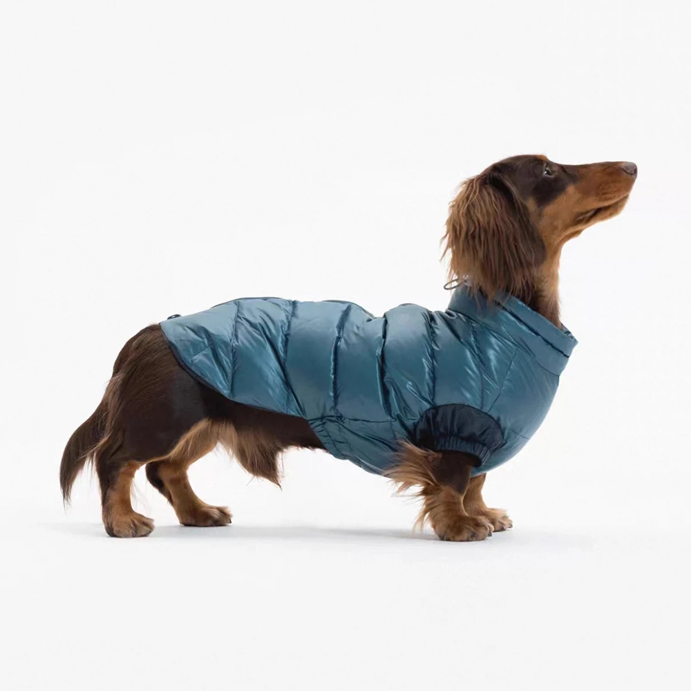 Abrigo impermeable y cortaviento de invierno para perros salchicha - imagen 3