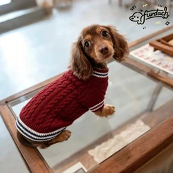 Suéter invierno tejido para perro salchicha patas cortas