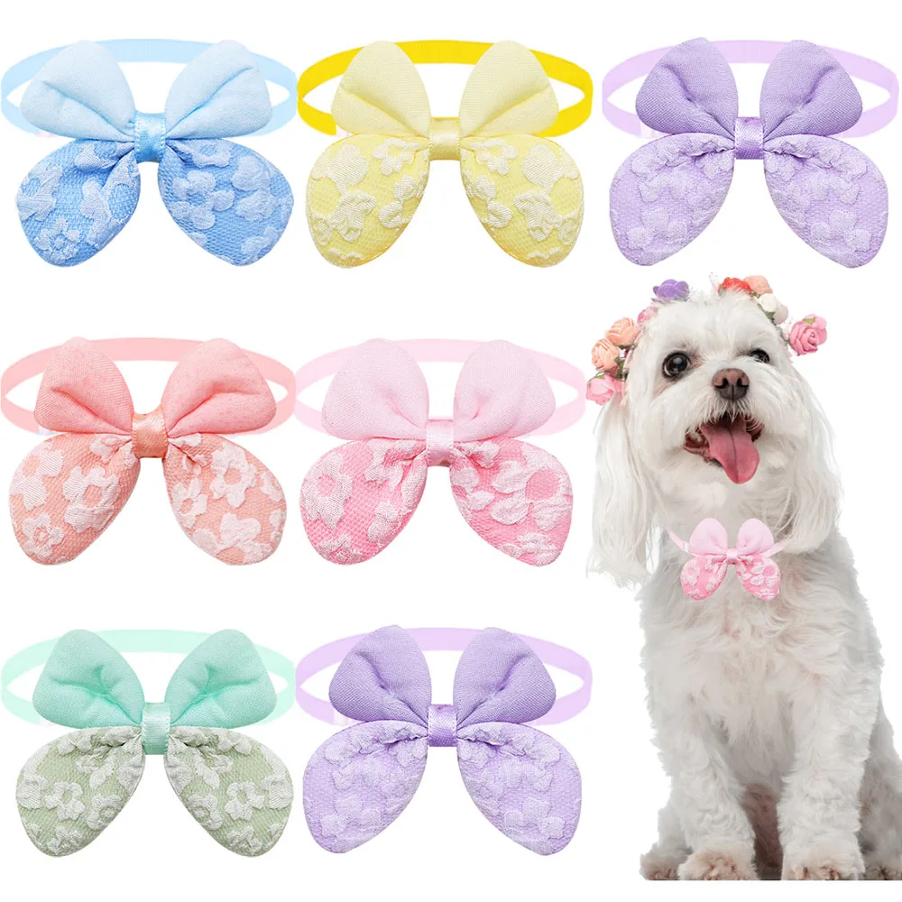 Pack de collares para perros al por mayor