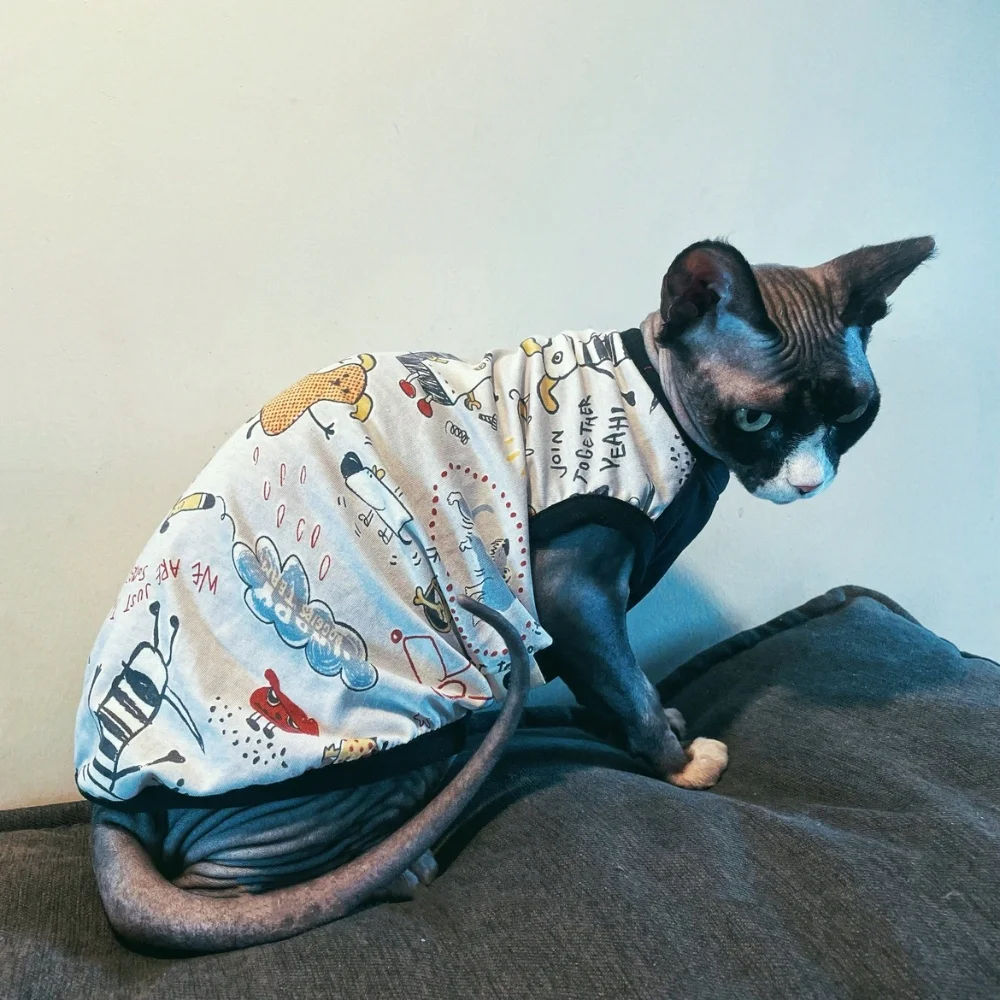 Camiseta veraniega para gato Sphynx en gris oscuro
