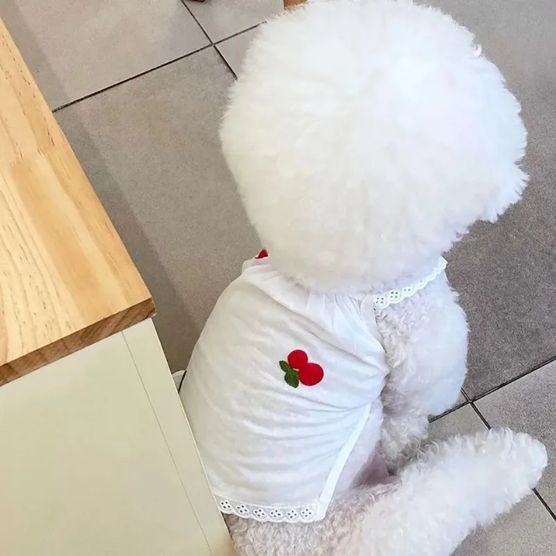 Ejemplo de perro usando el chaleco en parque