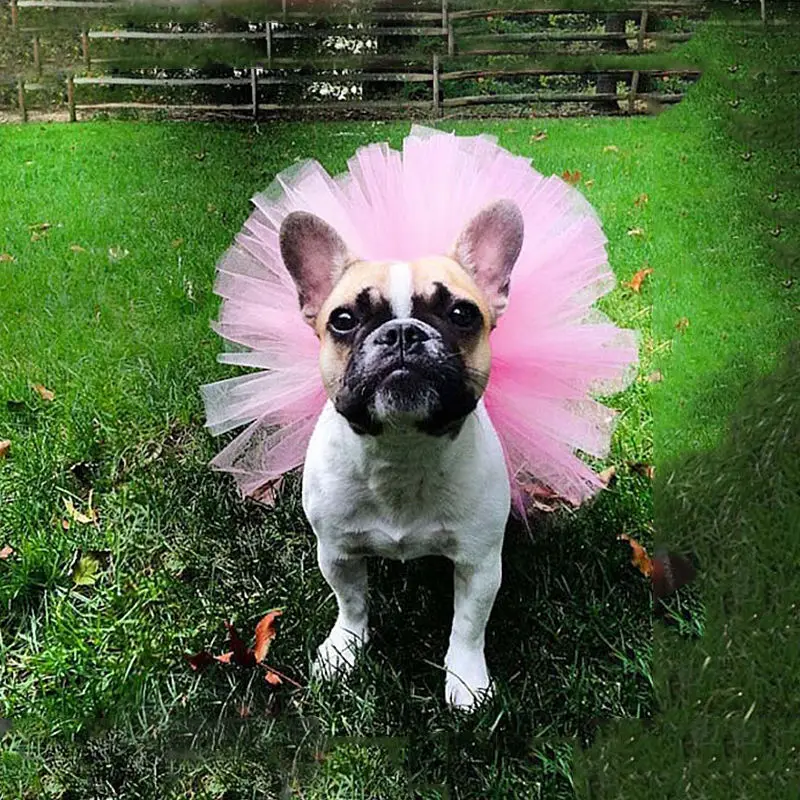 Detalle de la malla suave de la falda tutú para mascotas