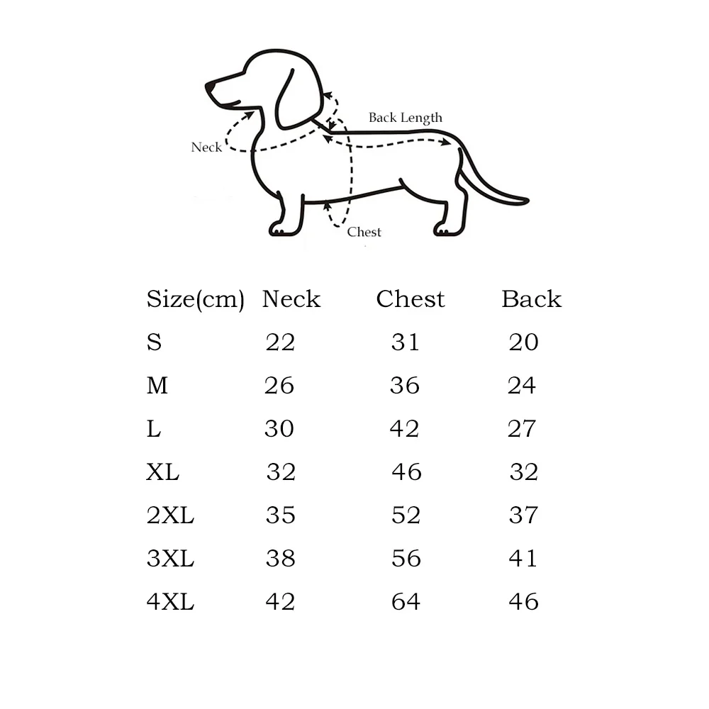 Perro dachshund con chaleco azul
