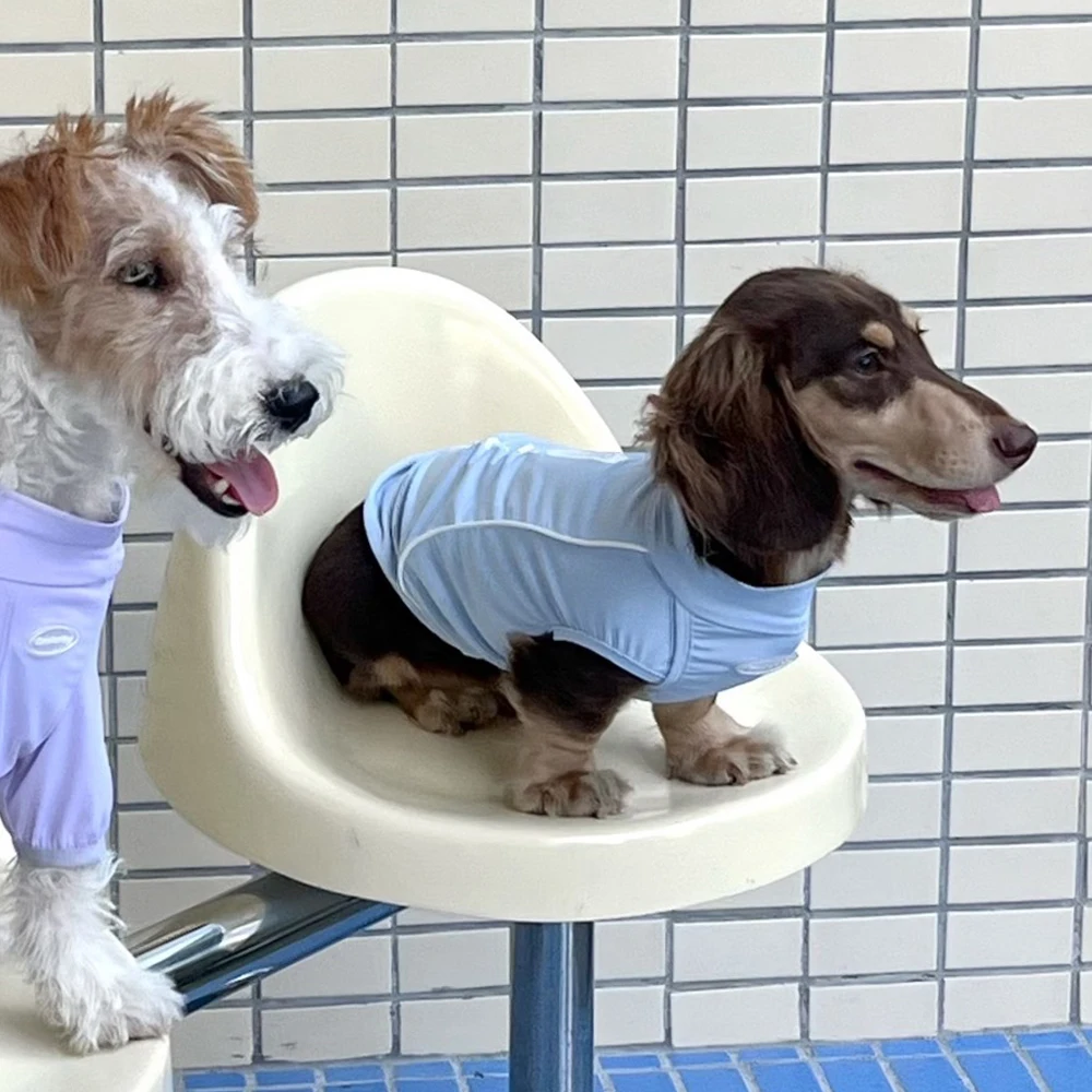 Chaleco transpirable para perros salchicha, suave y fresco - imagen 3