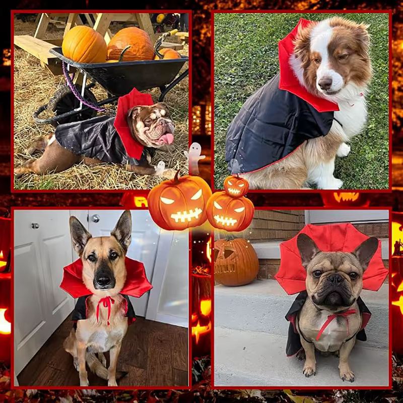 Disfraz de vampiro para perro y gato con capa ajustable Halloween - imagen 4